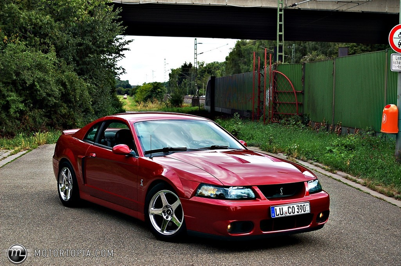 Illustration for article titled DD, Track, Burn Mustang Edition